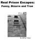 Real Prison Escapes: Funny, Bizarre and True by Jeffrey Fisher