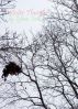 Winter Thunder by Sylvan Scott