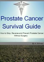 Cover for 'Prostate Cancer Survival Guide'