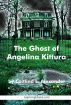 The Ghost of Angelina Kittura by Caitlind Alexander