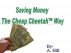 Cheap Cheetah's Guide To Saving Money by A Hill