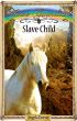 Slave Child by Angela Dorsey