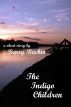 The Indigo Children by Barry Rachin