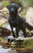 Pepper by Brian Borgford