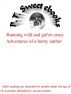Running wild and get'en crazy, Adventures of a horny author by P. T. Sweet
