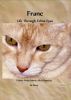 Franc - Life Through Feline Eyes by Fabiola Piedad Maria Alicia Reynales de Berry