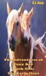 The Adventures of Pony Boy, Book One:  The Early Days by K. L. Stock