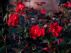 Through the Rose Gate...Chapters One and Two by Janette Payton (Artist/Teacher/Author)