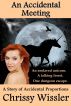 An Accidental Meeting by Chrissy Wissler