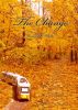 The Change by Anna Y. White