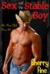 Sex and the Stable Boy (The Dare Club: Dare #4) by Cherry Fine