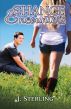 Chance Encounters by j sterling