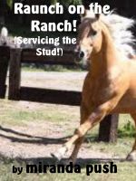 Cover for 'Raunch On The Ranch (Servicing The Stud!)'