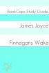 Finneganâ€™s Wake (A BookCaps Study Guide) by BookCaps 