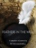 Feathers in the Well by Peter Maxwell