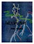 Hexington by John Bennett
