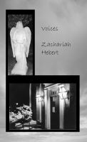 Cover for 'Voices'
