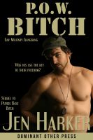 Cover for 'P.O.W. Bitch (gay military gangbang)'