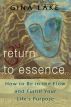 Return to Essence: How to Be in the Flow and Fulfill Your Life's Purpose by Gina Lake