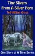 Tiny Slivers From A Silver Horn by Ted Gross