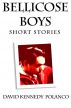 Bellicose Boys by David Kennedy Polanco