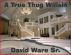A True Thug WillSin by David Ware