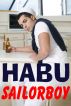 Sailorboy (A Gay Erotica / Gay Military Erotica) by Habu 
