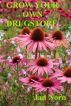 Grow Your Own Drugstore by Jan Norn