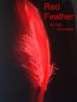 Red Feather by Didi Summers