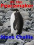 Ali the Peacemaker by Steve Challis