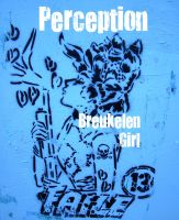 Cover for 'Perception'