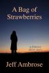 A Bag of Strawberries: A Short Story by Jeff Ambrose