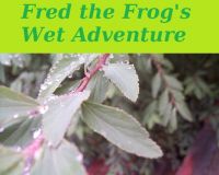 Cover for 'Fred the Frog's Wet Adventure'
