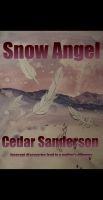 Cover for 'Snow Angel'