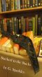 Stacked in the Stacks by G Sparkles