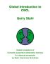 Global Introduction to CSCL by Gerry Stahl