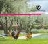 Catalogue Sejour-Maroc 2011 by sejour maroc