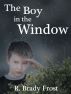 The Boy in the Window by R. Brady Frost