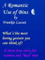 Cover for 'A Romantic Use of Bins'