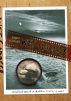 Wet Goddess: Recollections of a Dolphin Lover by Malcolm J. Brenner