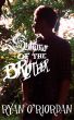 Summer of the Brother (The Seasons, Book 1) by Ryan O'Riordan