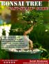 Bonsai Tree Fast-Start Guide by Jackson Forrest