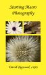 Starting Macro Photography by David Bigwood
