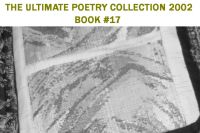 Cover for 'THE ULTIMATE POETRY COLLECTION 2002 - BOOK SEVENTEEN'