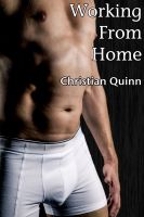 Cover for 'Working From Home (A Gay British First Time Short Story)'
