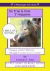 So That is How 'it' Happens by Lorraine A. Jones