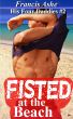 His Four Daddies 2 - Fisted at the Beach (M+/m Taboo Sex Gangbang) by Francis Ashe