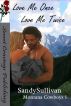 Love Me Once, Love Me Twice (Montana Cowboys 1) by Sandy Sullivan