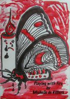 Cover for 'Playing with Fire'
