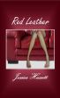 Red Leather by Jessica Hassett